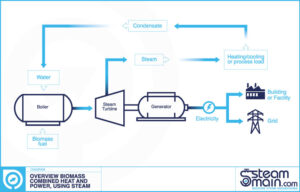 Biomass combined heat and power using steam overview